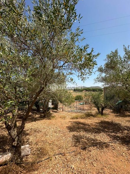 Foto e1c0c851-ce80-4d7d-9b57-7a7577050510. Masia a Arcos de la Frontera