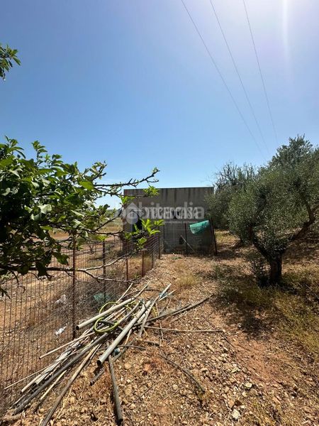 Foto ee8c18bf-7555-4127-8d4e-3255db68e4dc. Masia a Arcos de la Frontera