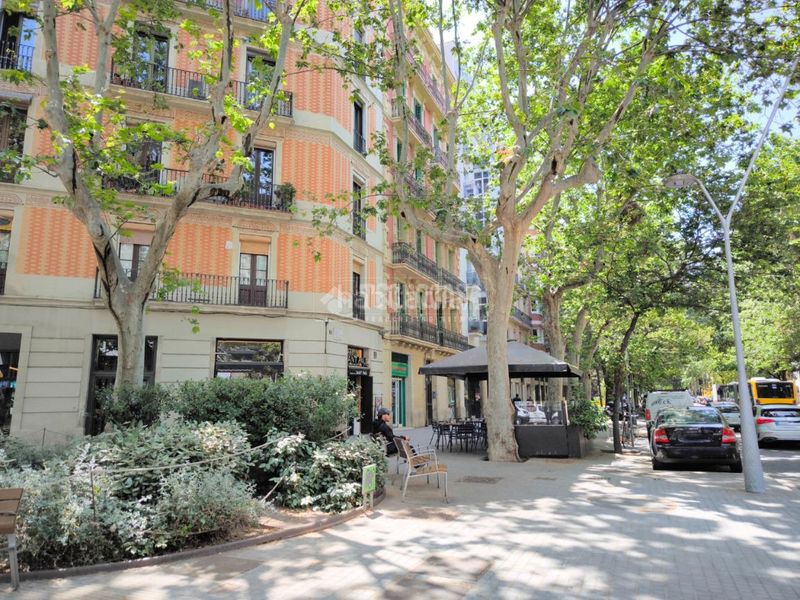 Foto 44c43e2e-1fa9-4f3c-a960-08c74424192c. Pis a Sant Antoni Barcelona
