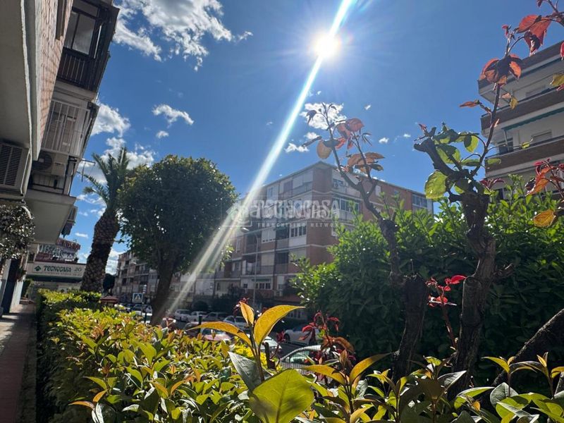 Foto 073e7d5a-3895-4d25-95a2-2f4ea5832d39. Pis a Aluche Madrid