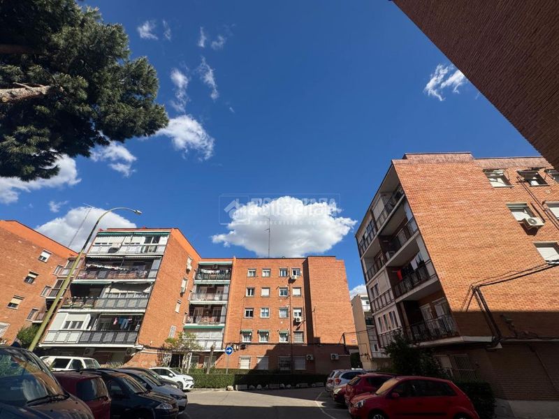 Foto 59dfae77-fc3e-4a9c-8ff5-a2018a2c0784. Pis a Aluche Madrid