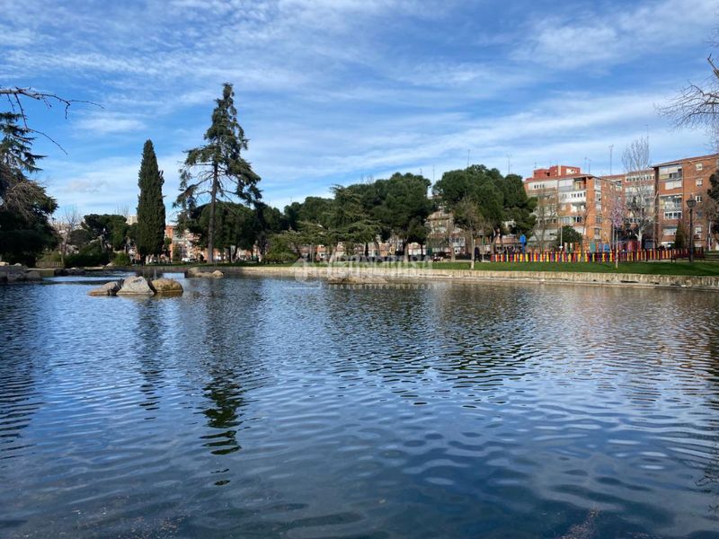 Foto d14d6fb4-ce66-4d5b-b2a2-3de1140607c6. Pis a Aluche Madrid