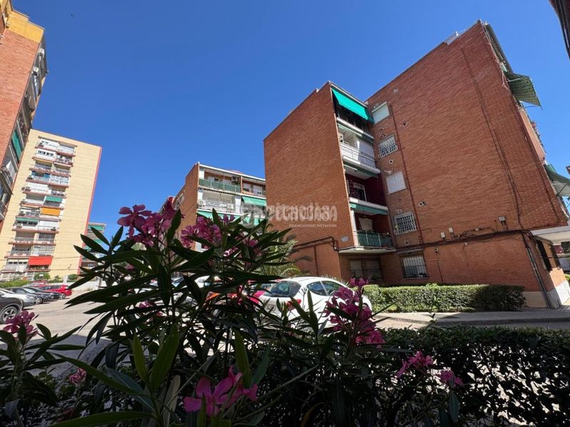 Foto 3e548f3c-4063-4713-b960-eb16068ae63f. Pis a Aluche Madrid