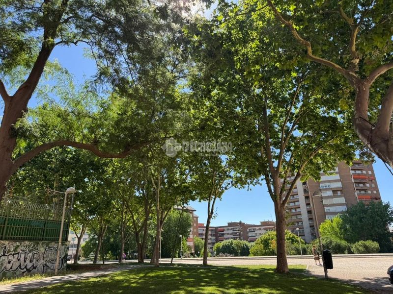 Foto 3ee292ee-278a-4afb-825b-562c138c6d6b. Pis a Aluche Madrid