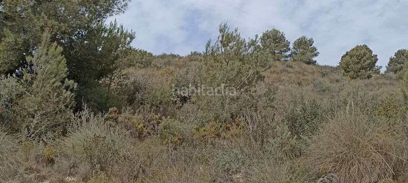 Foto 19331d42-fdb9-47f2-ae49-543607cee82a. Finca rústica a polígono sector 05 pl 60 33 a Riba - roja de Túria