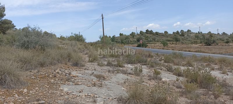 Foto 51744588-e327-4569-9db7-63885e7d7763. Finca rústica a polígono sector 05 pl 60 33 a Riba - roja de Túria