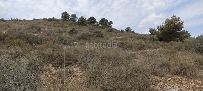 Foto b8fef632-3bba-4d87-a250-03b4a581df07. Finca rústica a polígono sector 05 pl 60 33 a Riba - roja de Túria