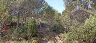 Finca rústica a S-12 158. Albalat dels tarongers, partidad el terrer y el planet, rústico,