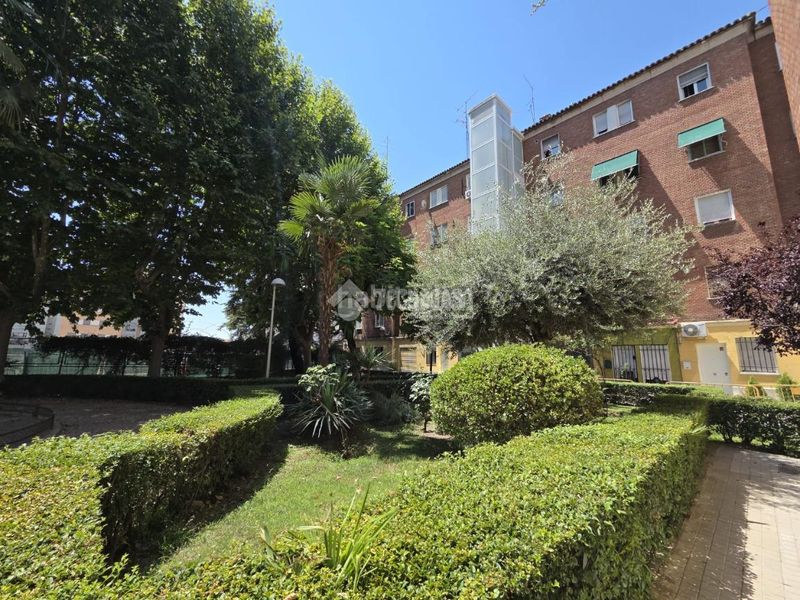 Foto e05c1790-e143-4c91-9d86-e4b83c68e965. Pis a Lucero Madrid