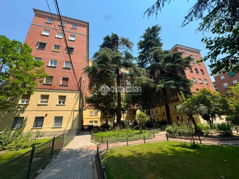 Foto 43f26dc3-1100-4996-9877-8207559724c0. Pis a Lucero Madrid
