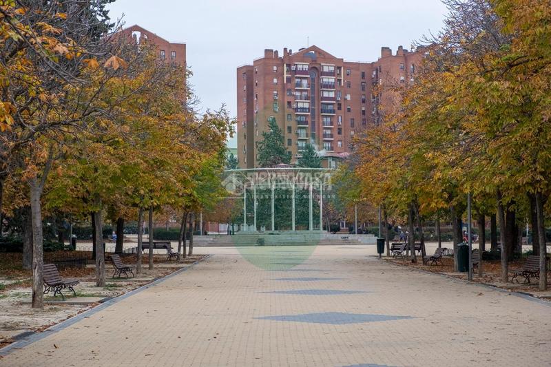 Foto c9de15ed-81ba-44a2-a540-cce7670ea292. Studio dans Los Ángeles Madrid