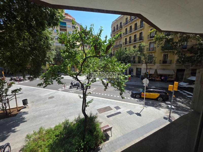 Foto 87c8f22e-4ae1-4782-bea1-6667e7ea8cb6. Alquiler oficina despacho en alquiler en La Nova Esquerra de l´Eixample Barcelona