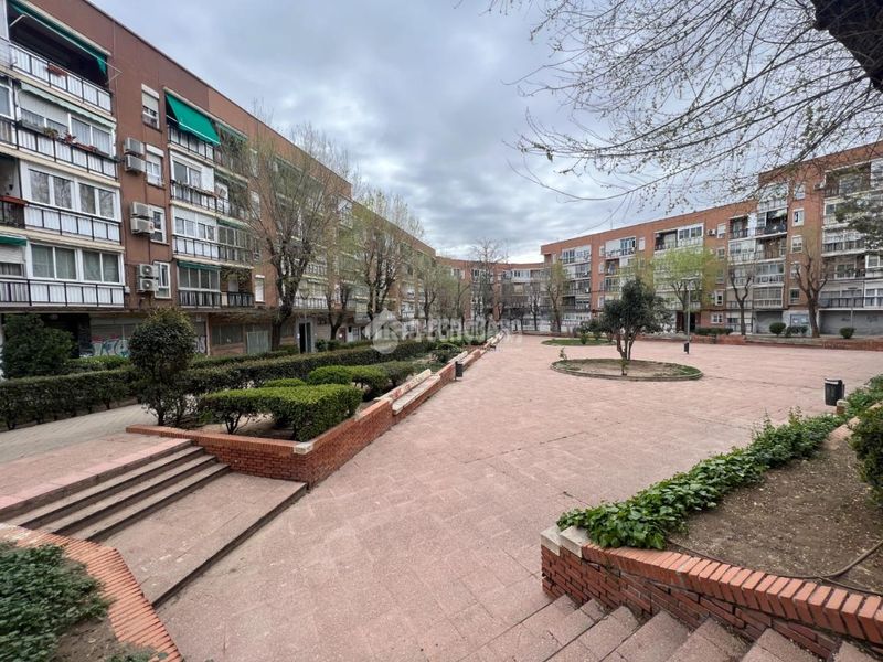 Foto e33283fd-2df0-4dbf-9852-951b6dd79320. Pis a Flores Leganés