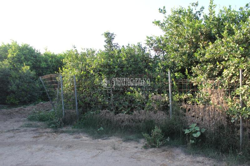 Foto 014744e7-7e07-4355-a304-4cacfa7789b3. Landgut in Cártama