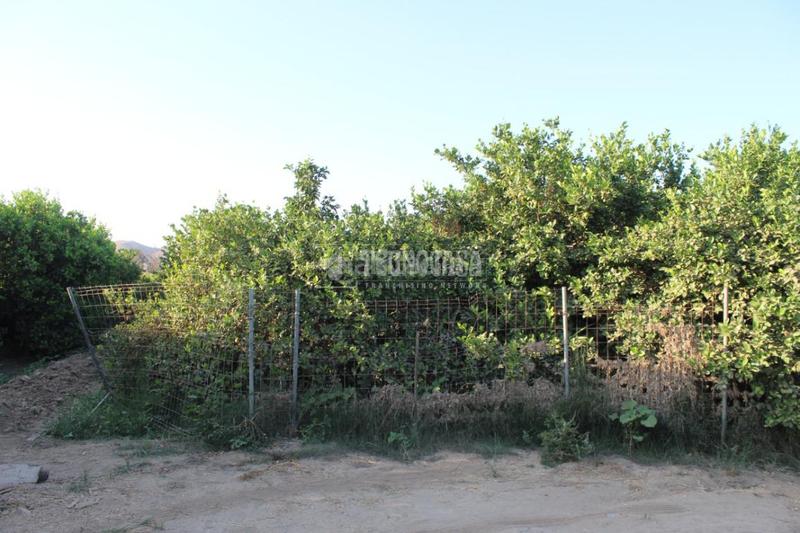 Foto 758a4859-0d68-4355-ab09-9aef7504924f. Landgut in Cártama