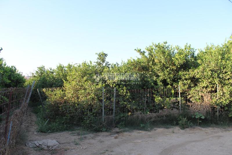 Foto 7c25d5d2-ddc7-4d79-bafd-ae2fb1a888d2. Landgut in Cártama