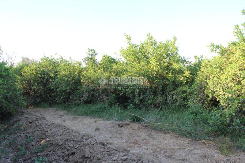 Foto 8bbe067b-fa74-440f-964f-62b9ad873112. Landgut in Cártama