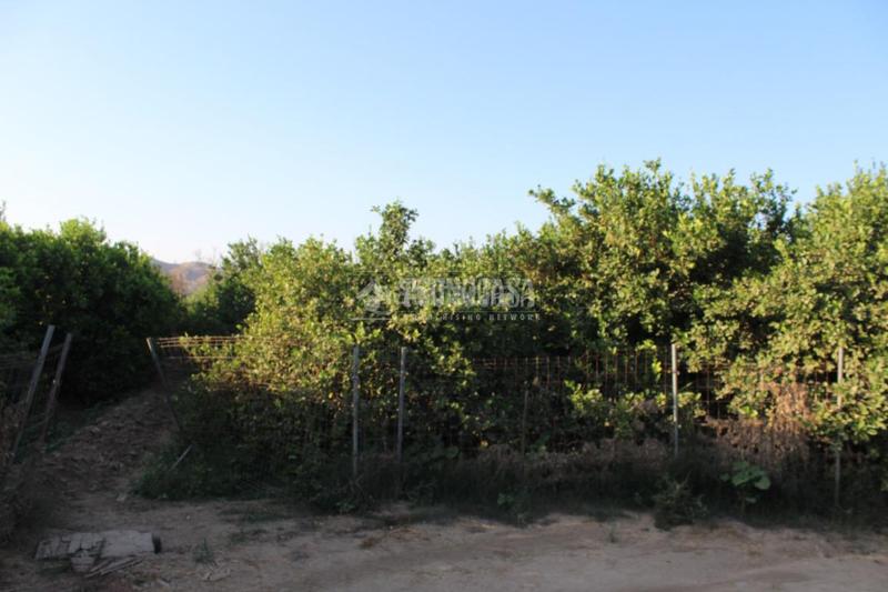 Foto a6dbff34-be60-4a76-8b97-d185d95186d4. Landgut in Cártama