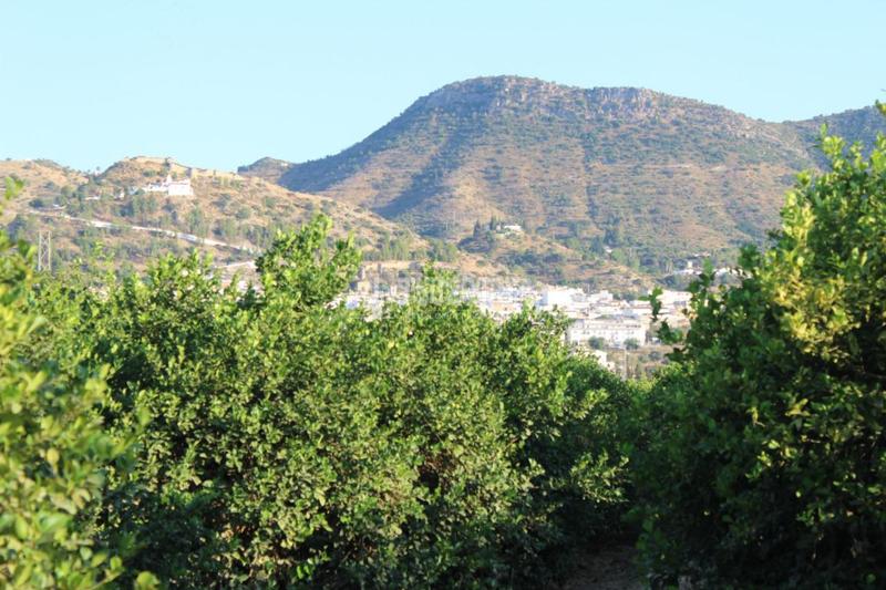 Foto a7c03485-0201-499b-909e-ade2327a660e. Landgut in Cártama