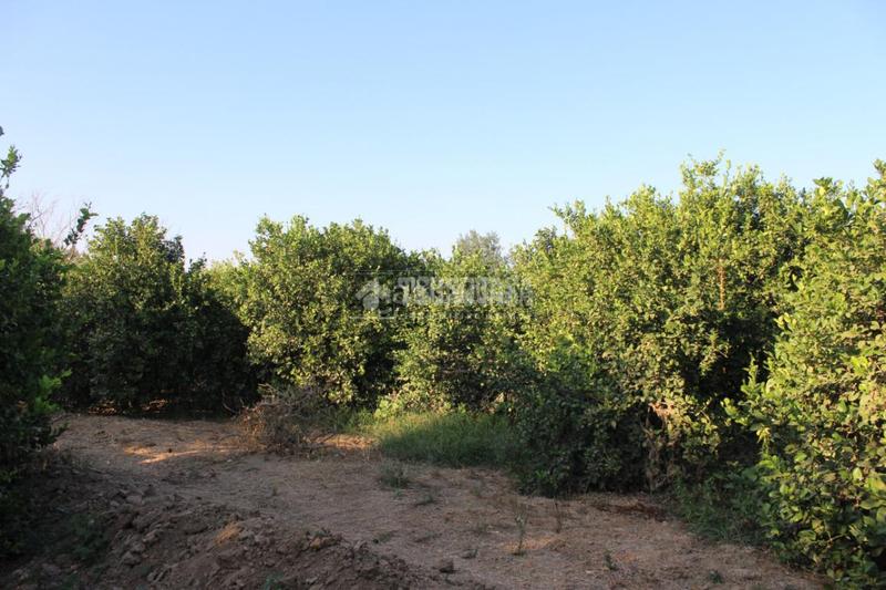 Foto e61645dd-3d8b-4a5c-a375-a988c27279ee. Landgut in Cártama