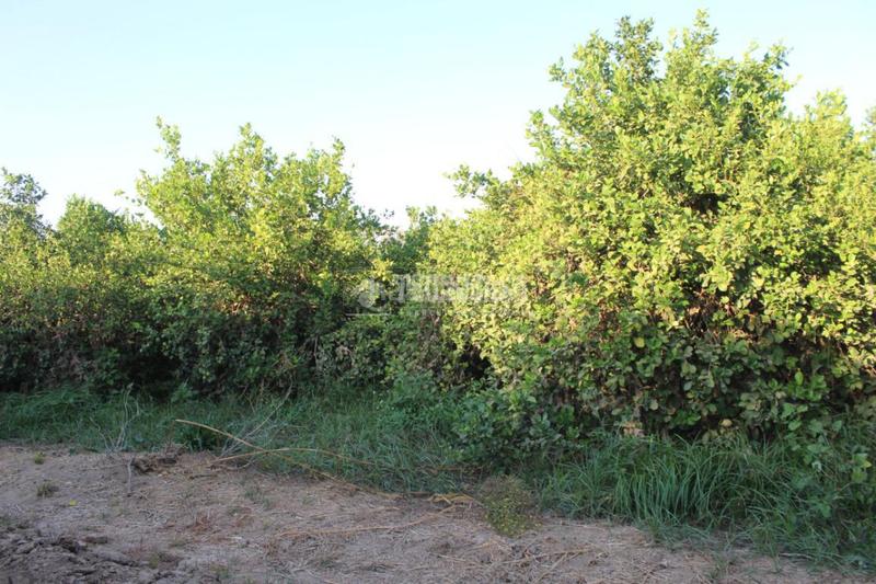 Foto fb4ec561-77aa-4200-86ed-f47103afc16d. Landgut in Cártama