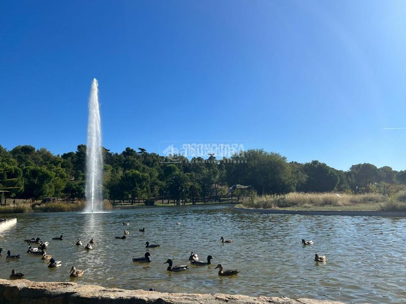 Foto 7668b70d-1c1d-45a1-87f6-f88eed692115. Pis amb calefacció a Abrantes Madrid