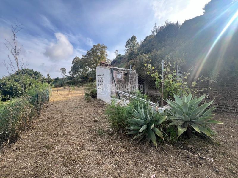 Foto c5d49c35-5fae-44c3-8b81-a80327f5ce88. Finca rústica a puerto de Estepona Estepona