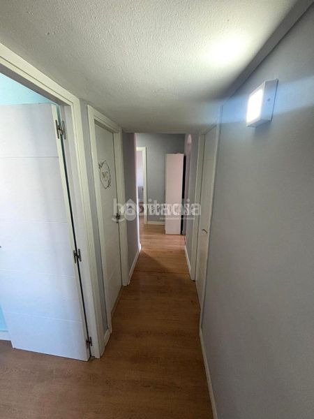 Foto 06055616-5781-47e3-9053-7f65b57c3c61. Pis a Pintores-Ferial Parla