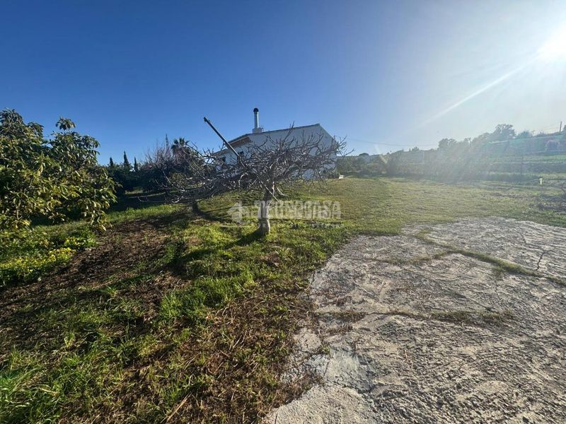 Foto b1410576-49c8-4a0d-8b48-b160e359161f. Masia a Parque Central Estepona