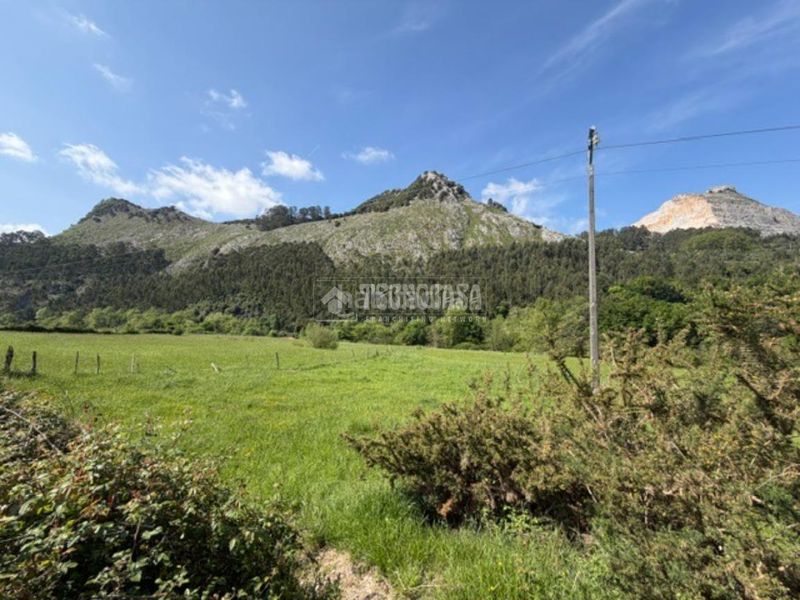 Foto 70d8e596-593c-4190-9420-51a5613606ef. Finca rústica a Mioño-Santullán Castro - Urdiales