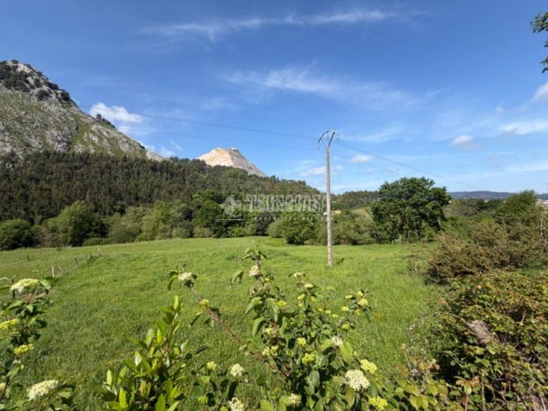 Foto b2e15a50-a00a-4749-9ac1-9a995e6ae7b7. Finca rústica a Mioño-Santullán Castro - Urdiales