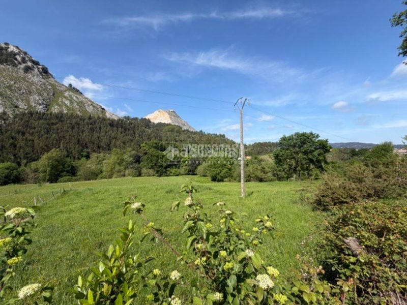 Foto c06f7466-a61e-47b0-996e-49079d5671b0. Finca rústica a Mioño-Santullán Castro - Urdiales
