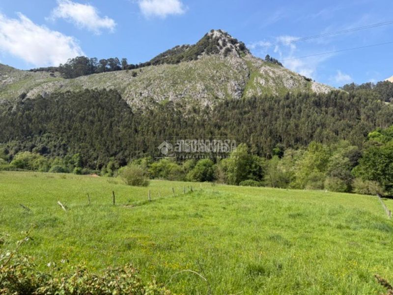 Foto d30b8b64-1a41-4ce9-9869-a391fa0b68ef. Finca rústica a Mioño-Santullán Castro - Urdiales