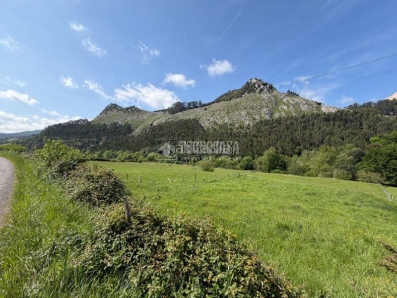 Foto f53ea584-a689-4d12-b3a8-664137fe8e3a. Finca rústica a Mioño-Santullán Castro - Urdiales