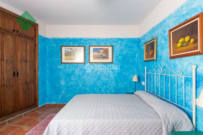 Foto a81cd4da-8535-4fdc-a7d3-0c3691aaeeb5. Pis a Sayalonga