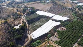 Finca rústica a Almayate Bajo