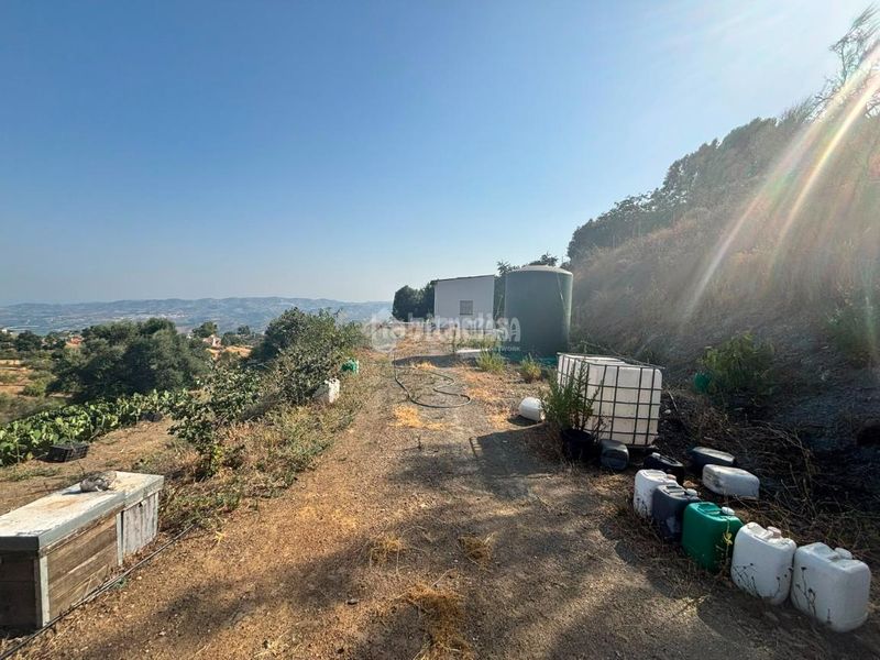 Foto 0ea8af32-5498-4fbf-a60e-767cff3a60c1. Finca rústica a Norte - Barrio del Pilar - El Reñidero Vélez - Málaga