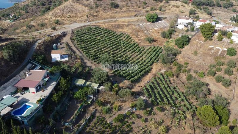 Foto ae184909-c2b8-4b45-a720-f5de20b673d8. Finca rústica a Norte - Barrio del Pilar - El Reñidero Vélez - Málaga