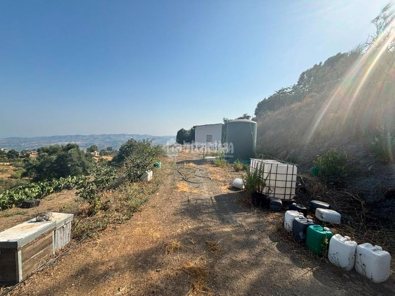 Foto c0bdab19-2c6b-47e6-9ac1-6b2d6eeb4641. Finca rústica a Norte - Barrio del Pilar - El Reñidero Vélez - Málaga