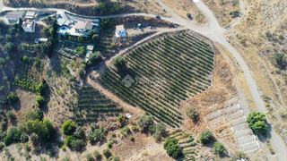 Finca rústica a Norte - Barrio del Pilar - El Reñidero