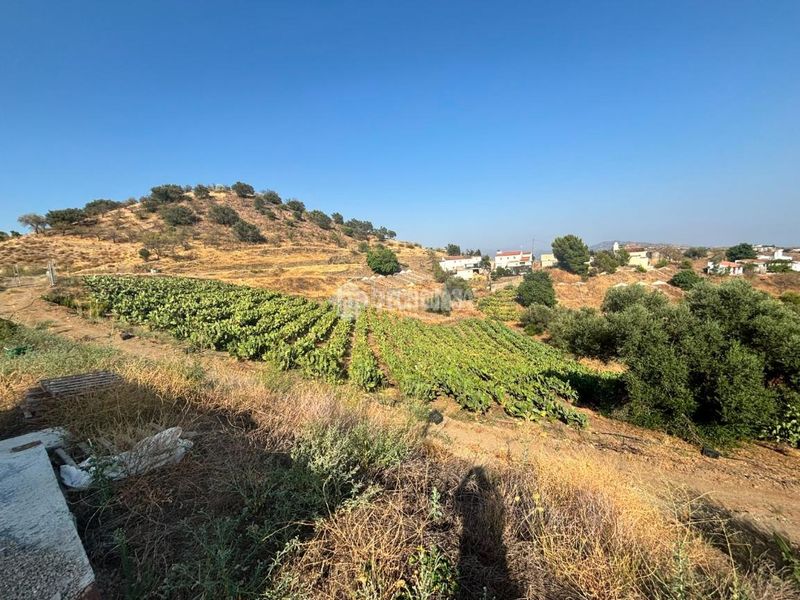 Foto dbcd9621-6bda-486f-aa23-db1c46d1823e. Finca rústica a Norte - Barrio del Pilar - El Reñidero Vélez - Málaga