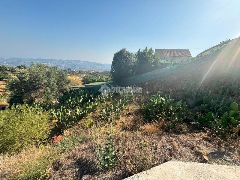 Foto e39b09ba-d777-4448-bb30-b342dbb20fdb. Finca rústica a Norte - Barrio del Pilar - El Reñidero Vélez - Málaga