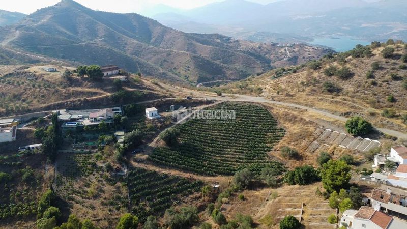 Foto fe4d82c4-4220-4565-b206-590340f81c6e. Finca rústica a Norte - Barrio del Pilar - El Reñidero Vélez - Málaga