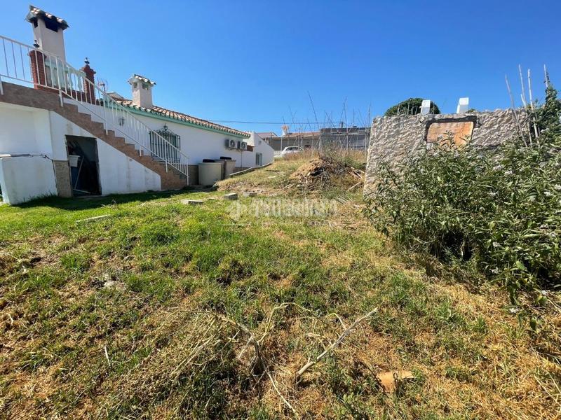 Foto 243e2622-fef6-42cb-8f84-626571040db1. Fondo rustico in Benajarafe