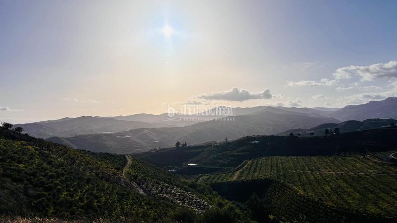 Foto 00f8aad0-9c0d-46e4-ab0a-d1009cc32730. Finca rústica a Norte - Barrio del Pilar - El Reñidero Vélez - Málaga