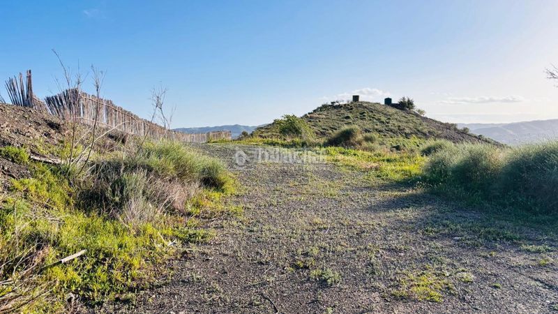 Foto 171660b9-77ae-4e6f-bbda-5eea2d6202ad. Finca rústica a Norte - Barrio del Pilar - El Reñidero Vélez - Málaga