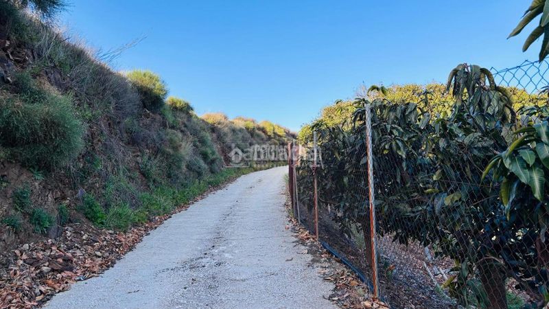 Foto 2beb6036-7125-47a6-a403-e86df3ec231e. Finca rústica a Norte - Barrio del Pilar - El Reñidero Vélez - Málaga