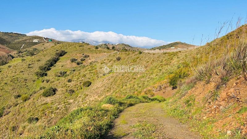 Foto 8c1d2a0e-5969-4d12-b793-dbbc7830d398. Finca rústica a Norte - Barrio del Pilar - El Reñidero Vélez - Málaga