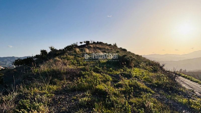 Foto a89bd148-9b88-4fb1-8cac-04978432f1dc. Finca rústica a Norte - Barrio del Pilar - El Reñidero Vélez - Málaga