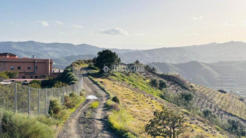 Foto ac57fbef-0684-4a69-aeb0-cc19b5868c8d. Finca rústica a Norte - Barrio del Pilar - El Reñidero Vélez - Málaga